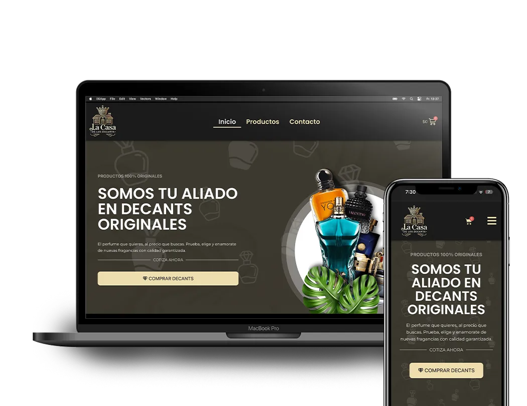 Páginas Web Profesionales para empresas en Chile